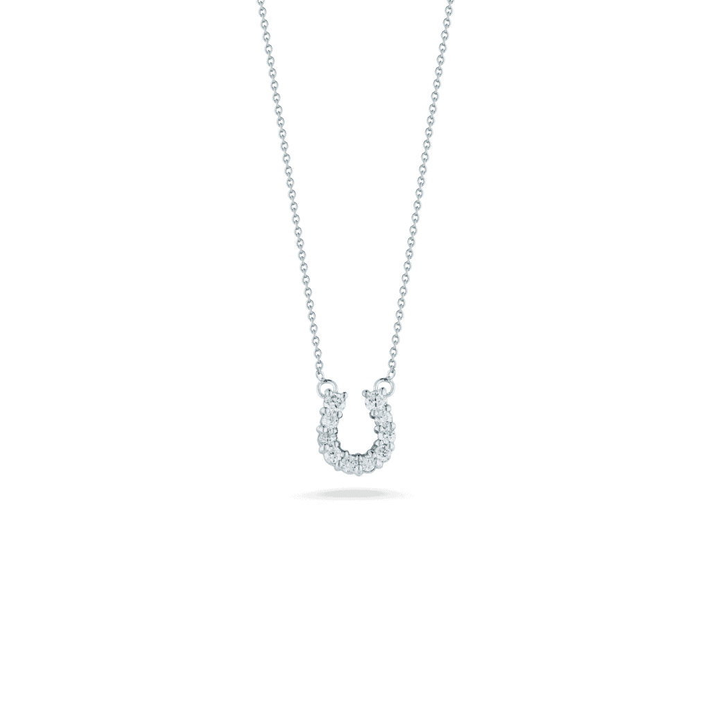 Small shop horseshoe necklace
